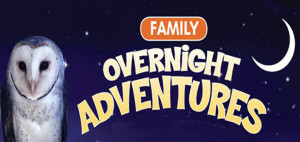 living-coast-family-overnight-adventures
