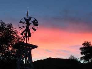 La Finquita Windmill Sunset