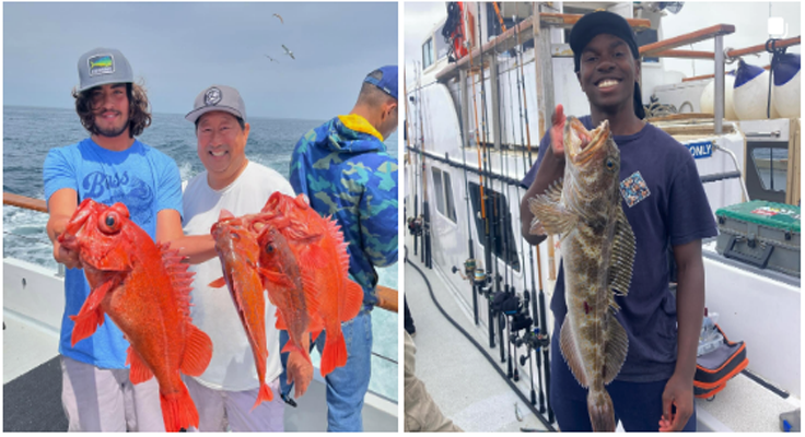 oceanside_sea_center_activities