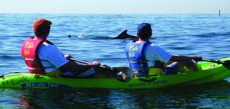 Kayak w-dolphin