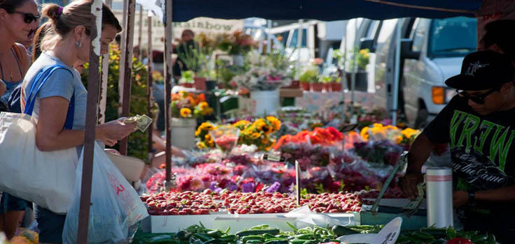 Ocean Beach Farmers’ Market