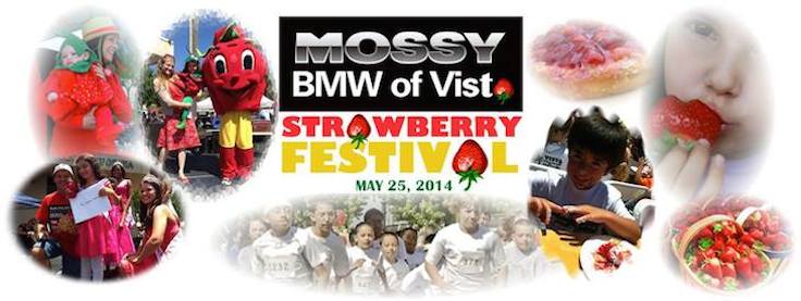strawberry festival - main