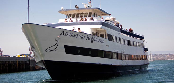 Hornblower Cruises San Diego | Harbor& Dinner Cruise, Coupon