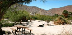 Agua-caliente-campground