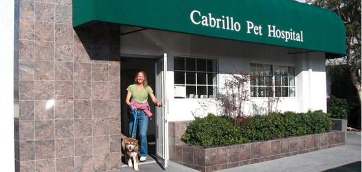 Cabrillo-Pet-Hospital-2