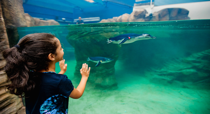 Birch Aquarium at Scripps | Photo: Jordann Tomasek