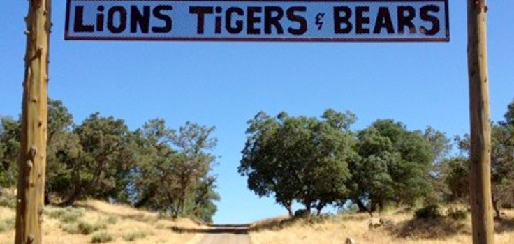 lions tigers bears entrance