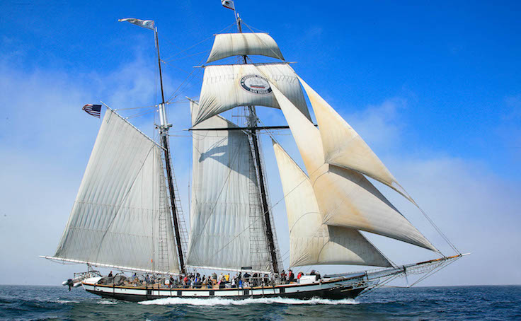 Maritime Museum's Tall Ship Californian Re-Creates Travel By Sea In ...