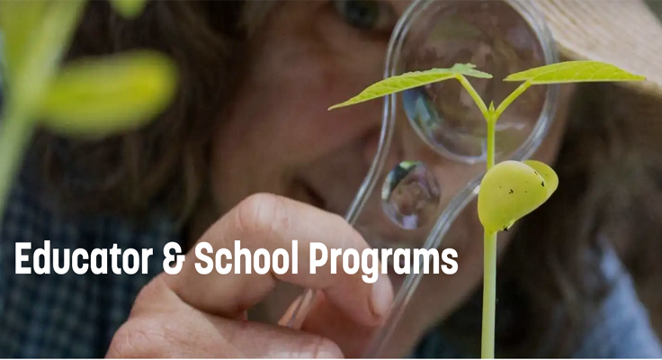 San Diego Botanic edu
