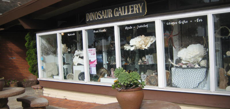 dinosaur gallery store front