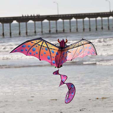 ocean beach kite-festival