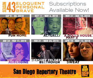 San Diego Repertory Theatre - Big Box Banner