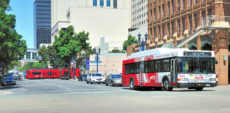MTS Trolley Busses