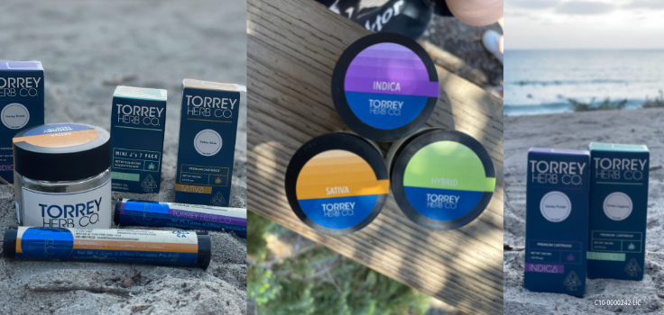 Torrey Holistics Products Dispensary
