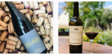 Vindemia Vineyard Winery