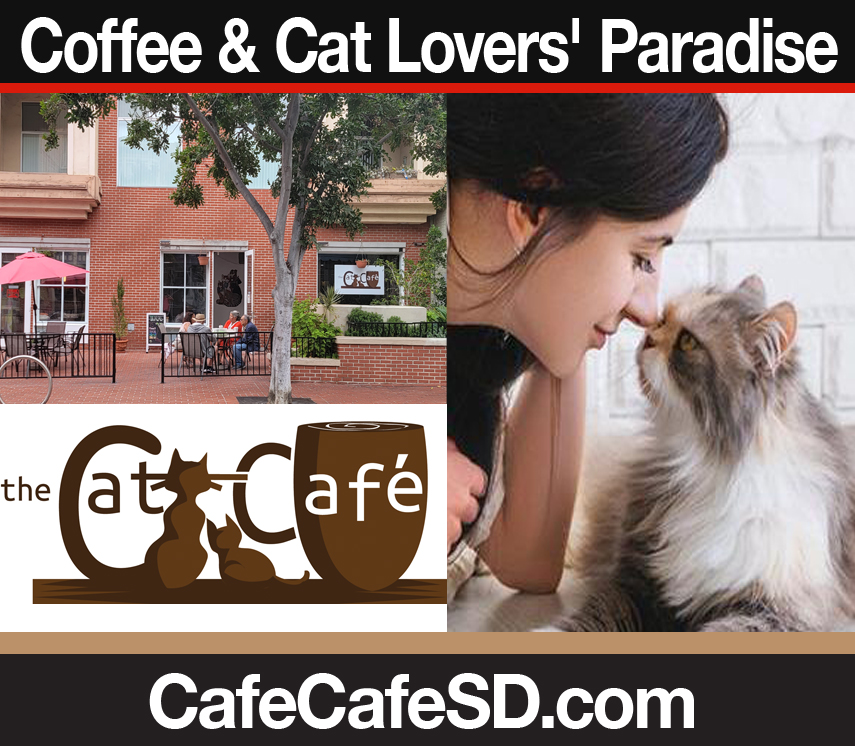 The Cat Cafe in Downtown San Diego