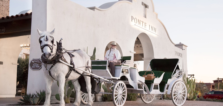 Ponte Winery Weddings carriage