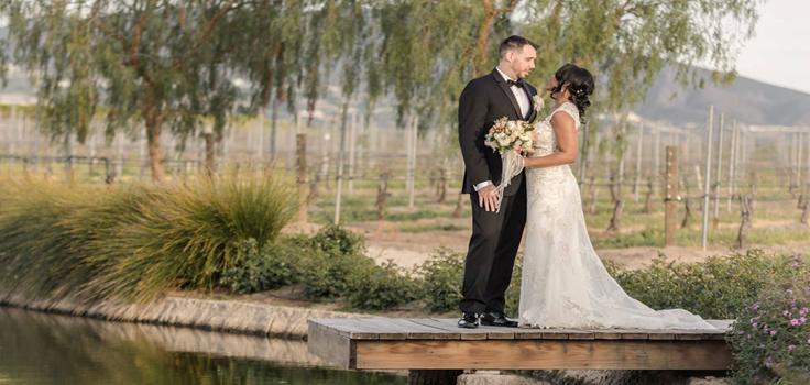 Ponte Winery Weddings2