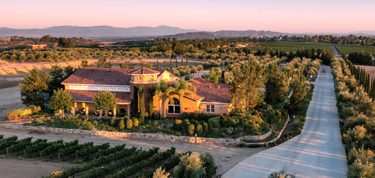 Carter winery best sale