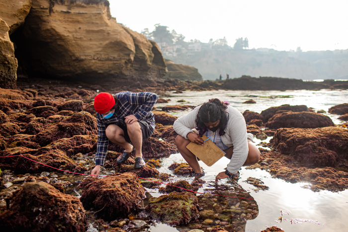 Tide pooling at Birch Aquarium