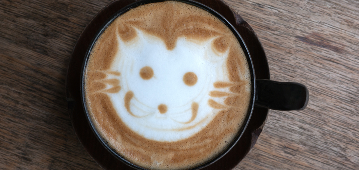 The Cat Cafe Downtown San Diego
