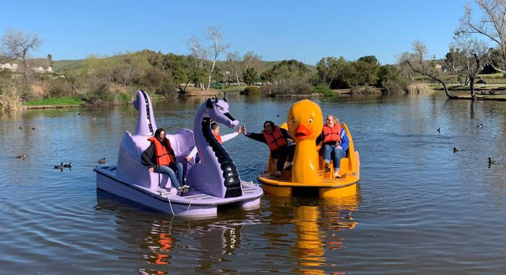 DuckDragonPedalBoats