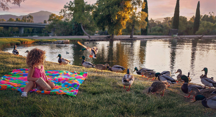 Feedingtheducks