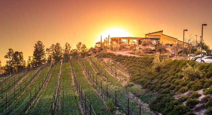 miramonte winery temecula_2