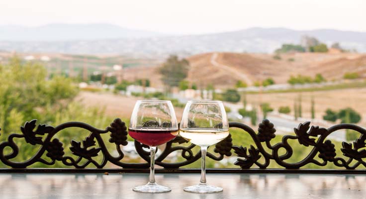 miramonte winery temecula_3