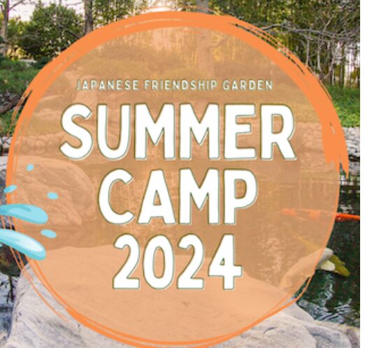 Experience A Taste Of Japan Through Summer Camps At Japanese Friendship 