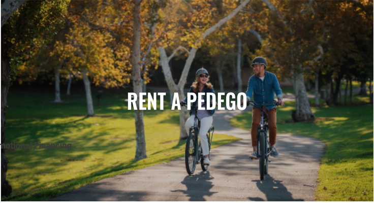 RENT PEDEGP