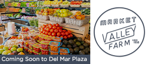 Del Mar Plaza