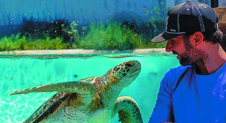 living-coast-tuttle 3