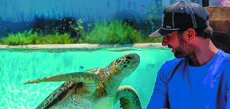 living-coast-tuttle 3