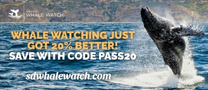 San Diego Whale Watch